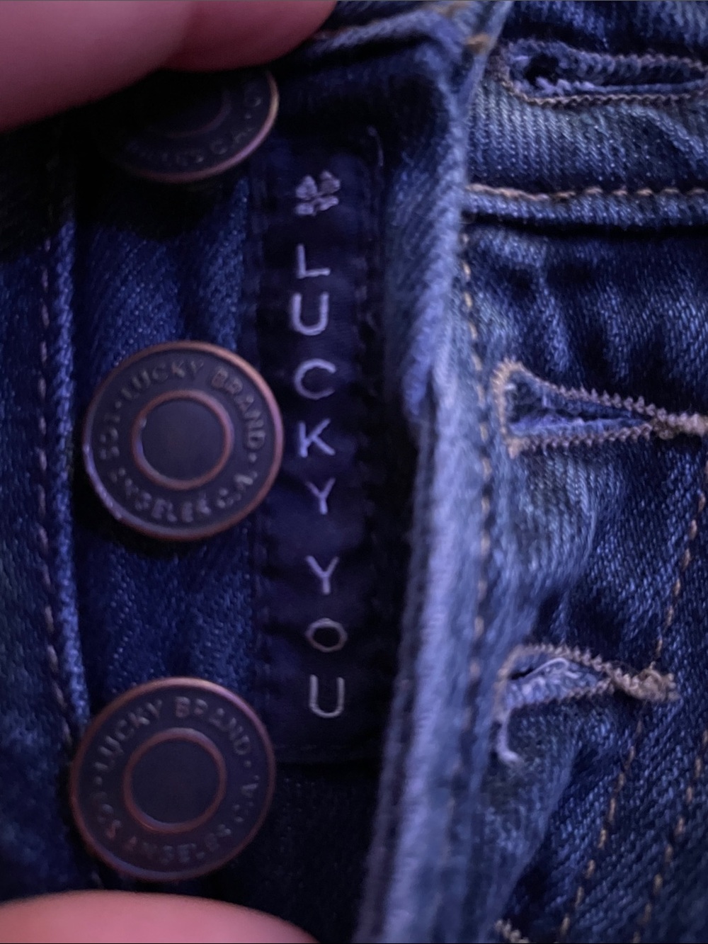 Lucky Brand Lowrise Jean Shorts